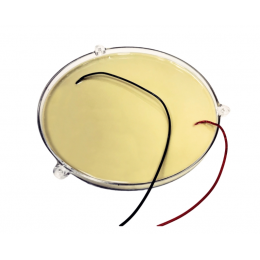 Светодиодный модуль СМ-200 12В