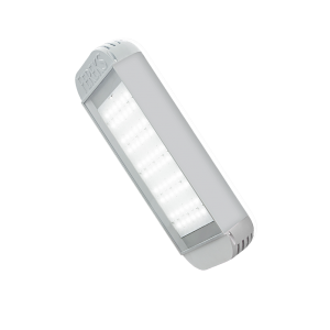 ДКУ 07-100-50 Светодиодный уличный светильник