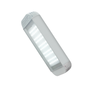 ДКУ 07-137-50 Светодиодный уличный светильник