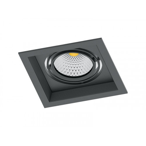 AL201 Светильник карданный светодиодный 1x12W 1080 Lm