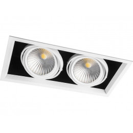 AL211 Светильник карданный светодиодный 2x30W 5400 Lm