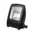 HL174L Светодиодный прожектор 2*50W 6500K COB LED