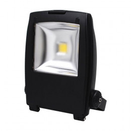 HL172L Светодиодный прожектор 30W 6500K COB LED