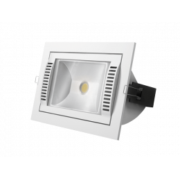 MAGNIFICO LED 30 N 4000K Citizen silver clean Светильник светодиодный Vivo Luce